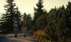 Nordic Walking