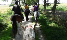 Reiten
